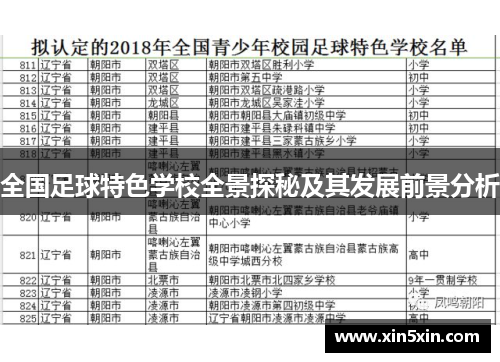 全国足球特色学校全景探秘及其发展前景分析